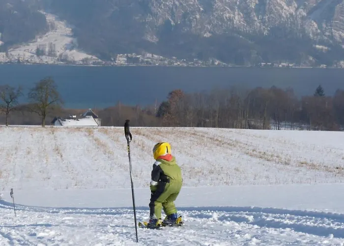 Sonnstein By Interhome Apartamento Altmünster